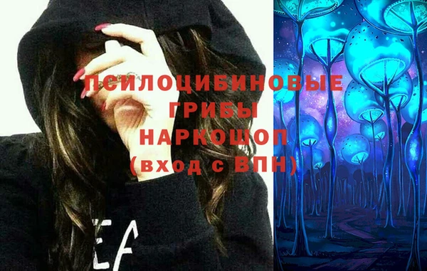 прущие грибы Алексеевка